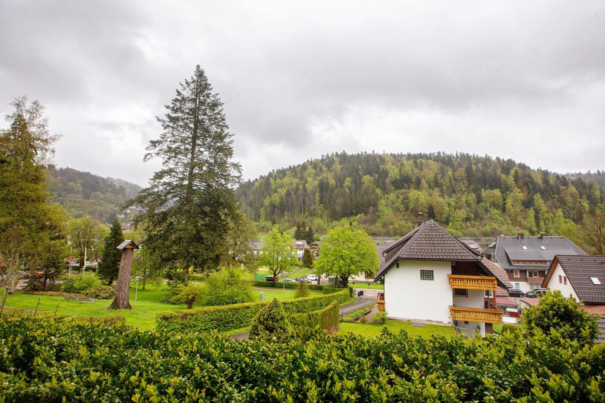 Haus Kurparkblick Villa Todtmoos Exterior photo